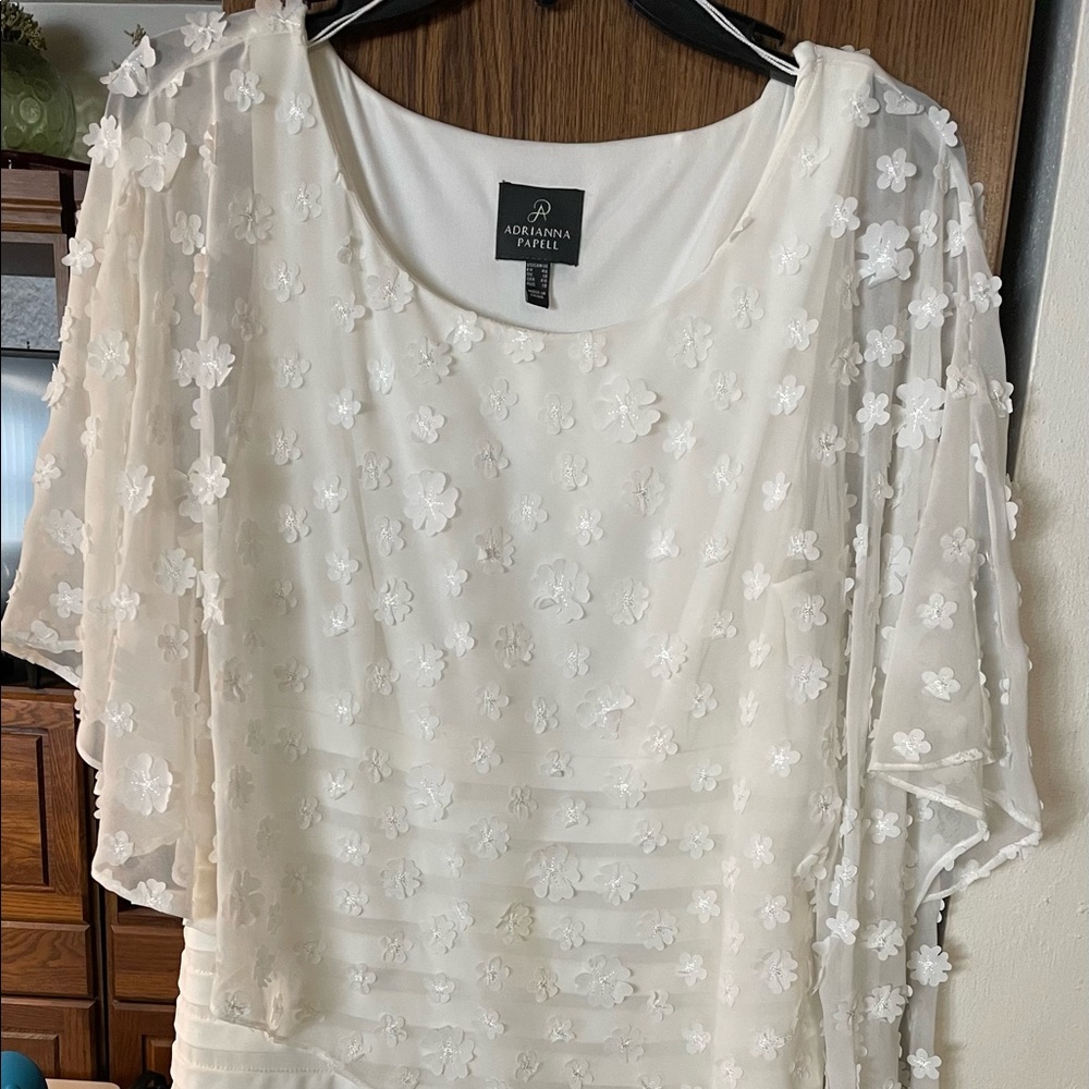 Adrianna Papell dress. Size 14.